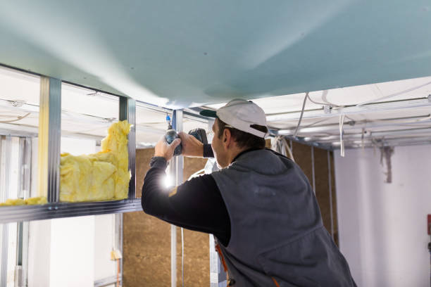 Best Energy Efficiency Solutions in Fowlerville, MI